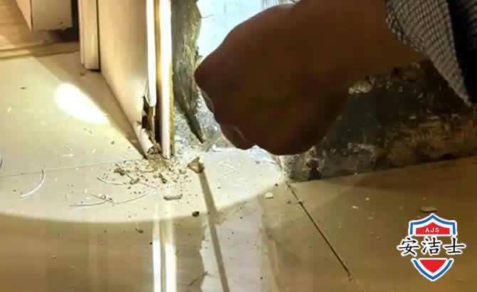 文成房屋建筑防治白蚁