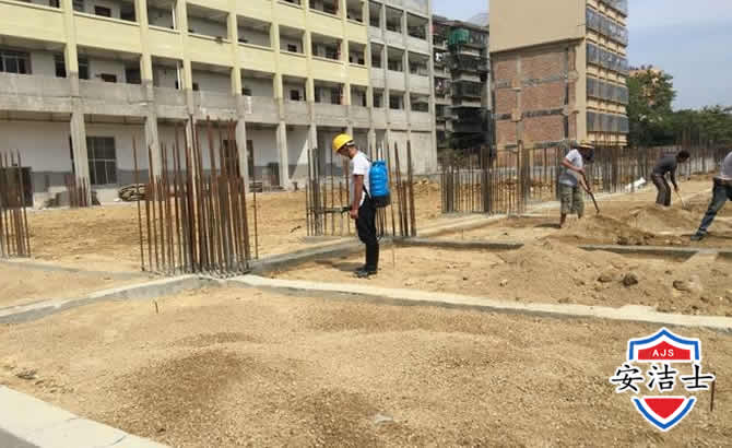 文成学校机关防治白蚁