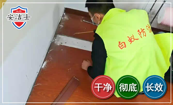 文成除四害现场