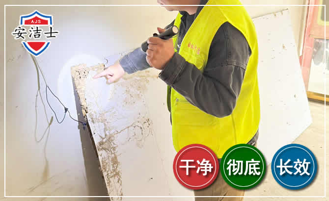 文成除白蚁现场