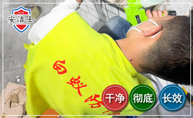 文成白蚁根治现场